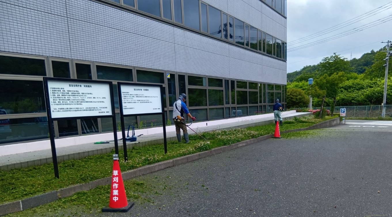 宮古合同庁舎 刈り込み作業