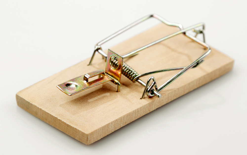 ねずみ昆虫等防除業