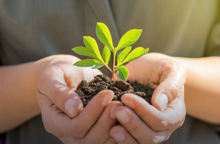 地域から始めるSDGsの一歩